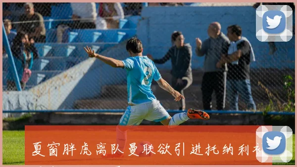夏窗胖虎离队曼联欲引进托纳利补强中场纽卡要价超亿镑