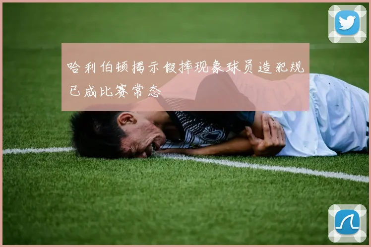 哈利伯顿揭示假摔现象球员造犯规已成比赛常态